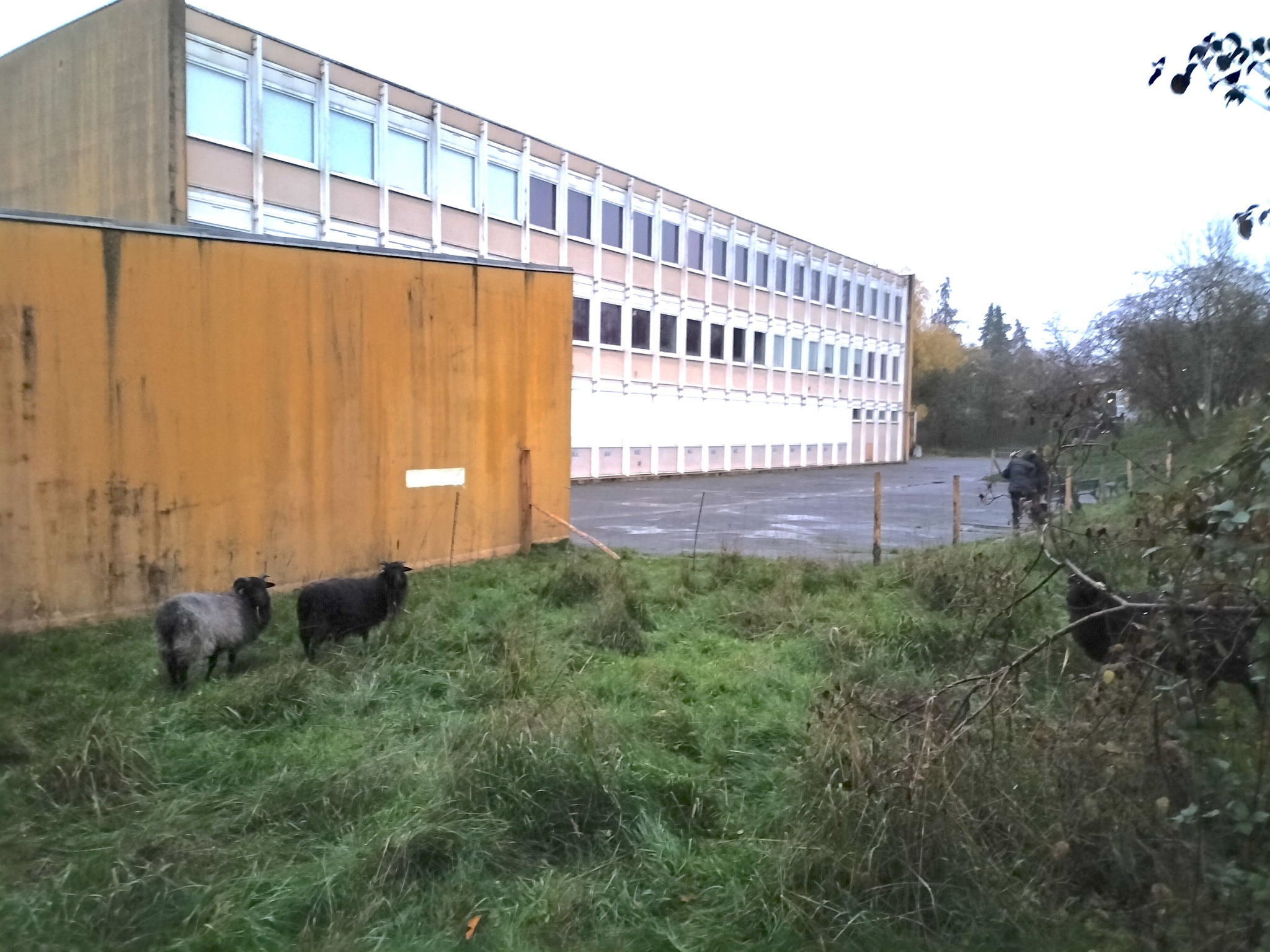 Nouveau site à Mont-Saint-Martin (54)